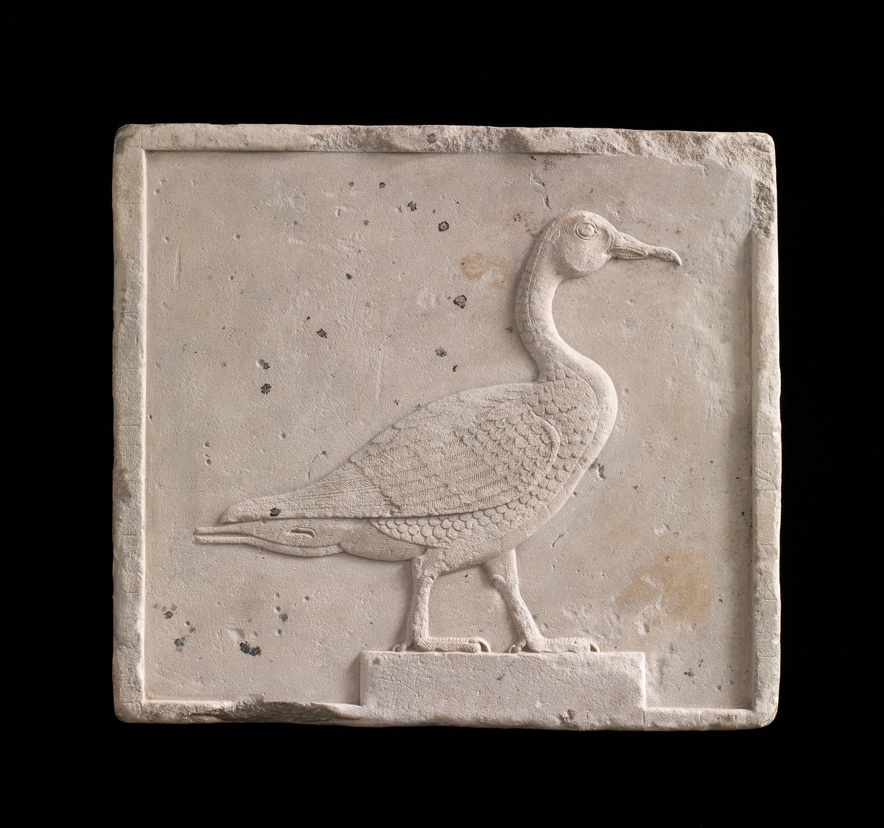 Tablica przedstawiająca gęś, 26 dynastia lub okres saitów, 664-525 p.n.e. lub późniejszy wapień autorstwa Egyptian 26th Dynasty