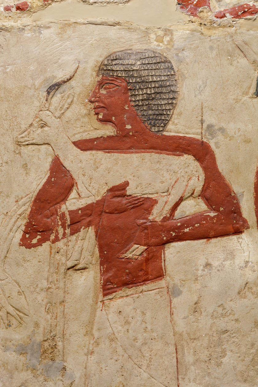 Mastaba Grobowiec z Perneb, ok. 2381-2323 p.n.e. (wapień i farba) autorstwa Egyptian 5th Dynasty