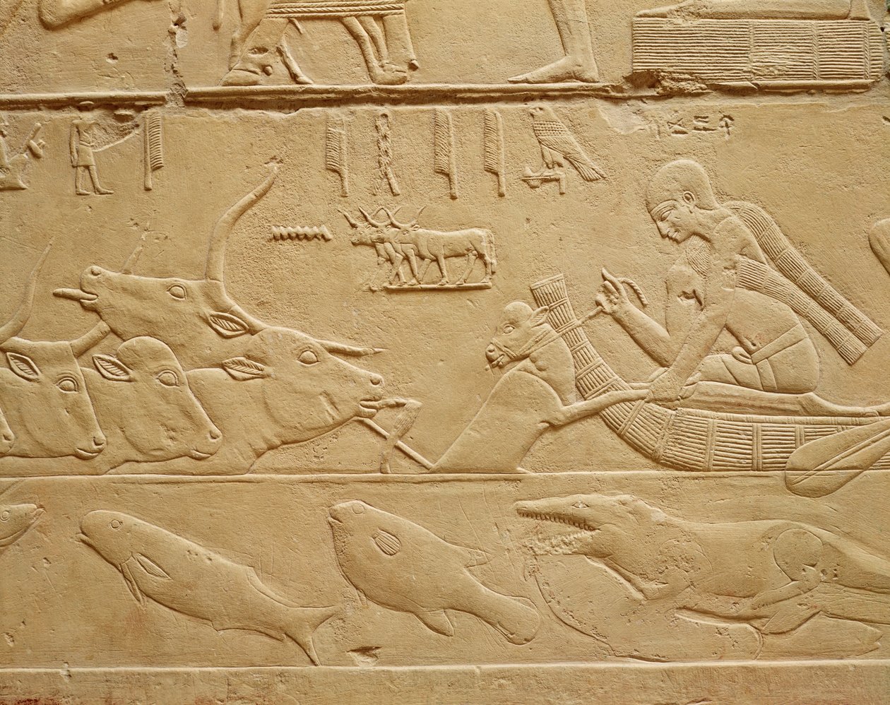 Bydło przechodzące przez bród, z kamienia Mastaba z Kagemni autorstwa Egyptian 6th Dynasty