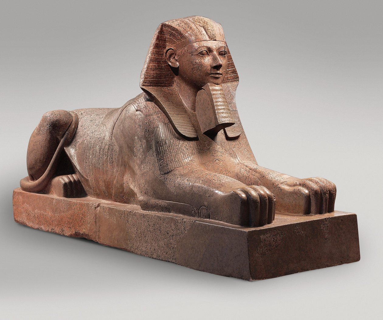Sfinks z Hatszepsut, ok.1479-58 (granit, farba) autorstwa Egyptian 18th Dynasty