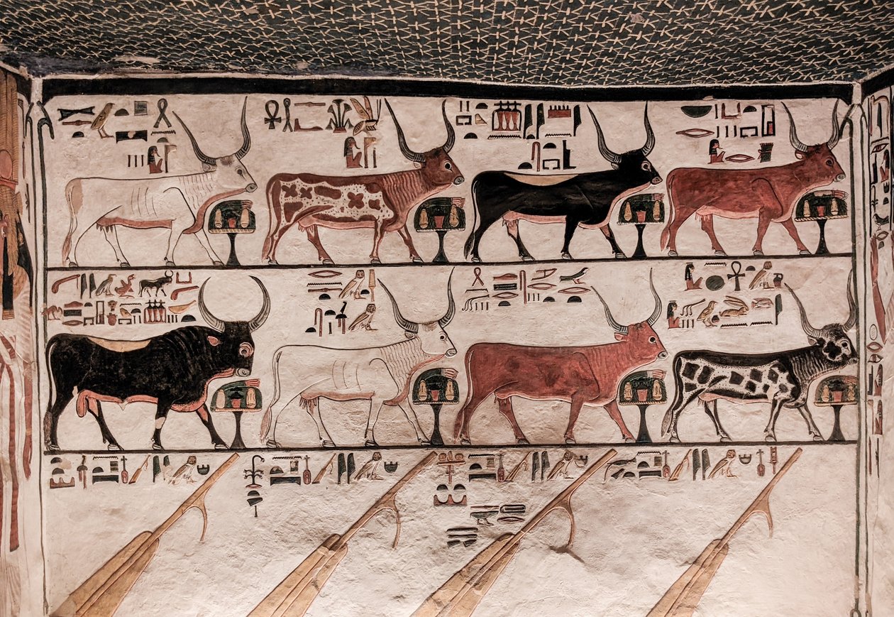 Grób Nefertari (malarstwo ścienne) autorstwa Egyptian 19th Dynasty