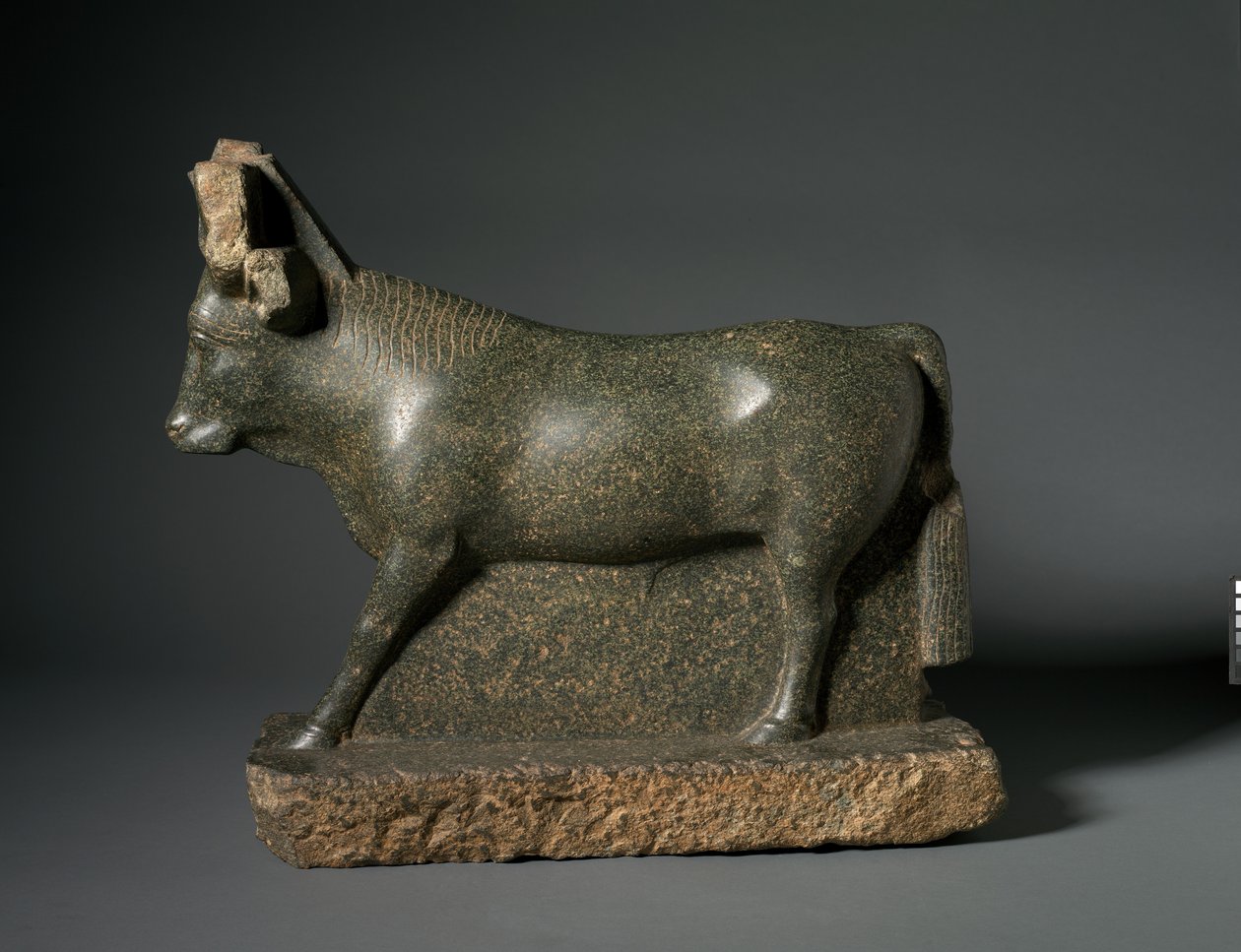 Apis Bull, 400-100 pne (serpentynit) autorstwa Egyptian Ptolemaic Period