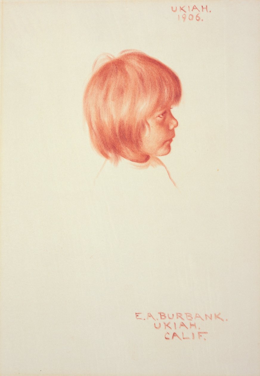 Ukiah autorstwa Elbridge Ayer Burbank