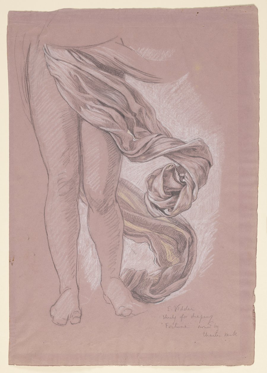 Studiuj dla „Fortuny” autorstwa Elihu Vedder
