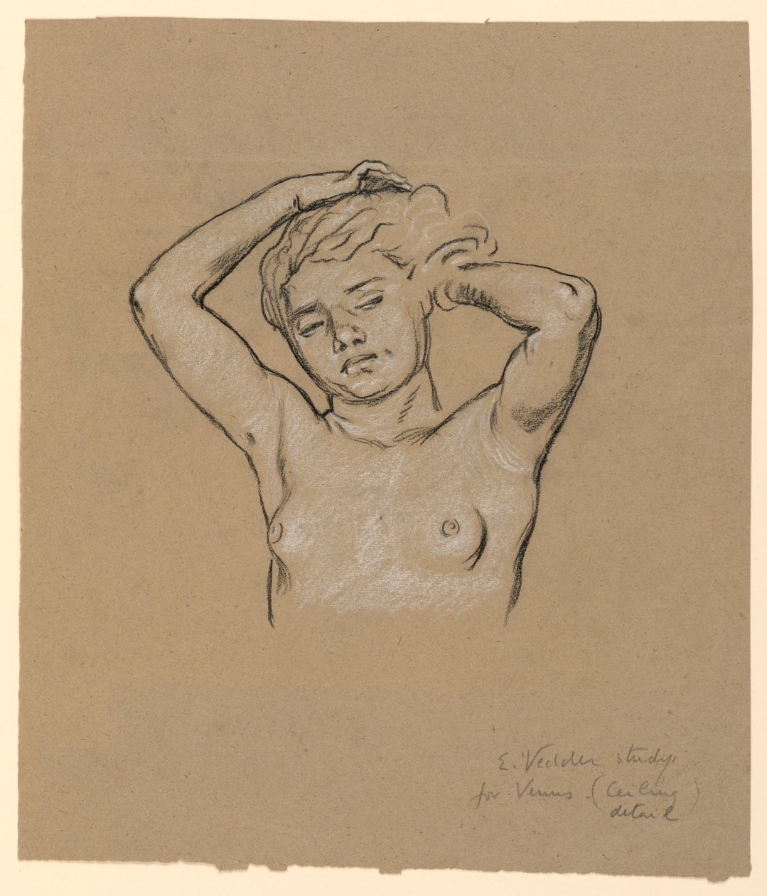 Studiuj dla "Wenus" autorstwa Elihu Vedder