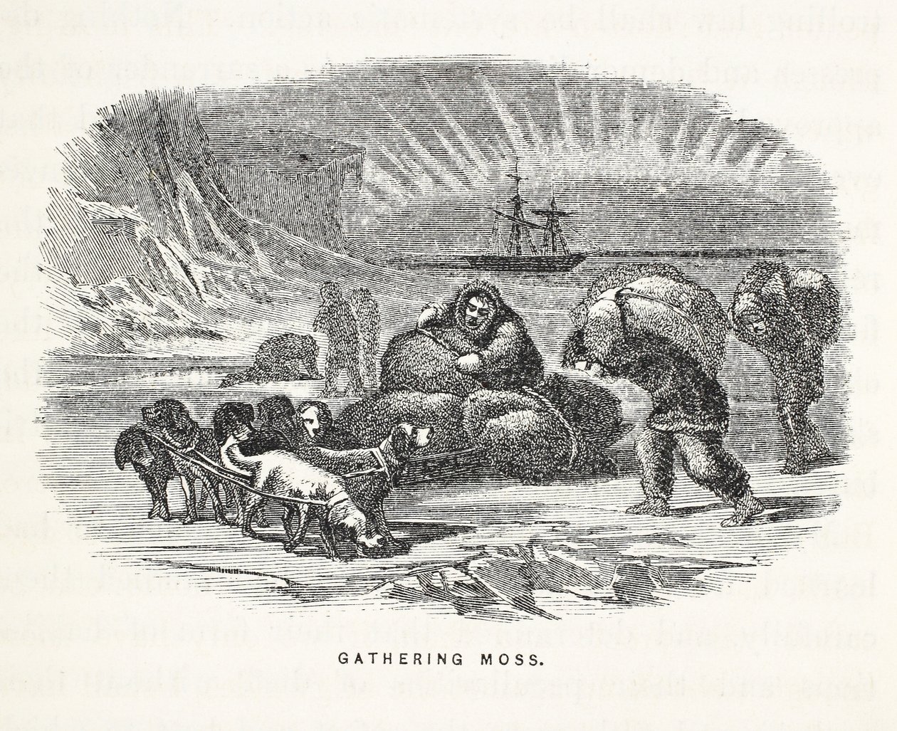 Gathering Moss, ilustracja z 