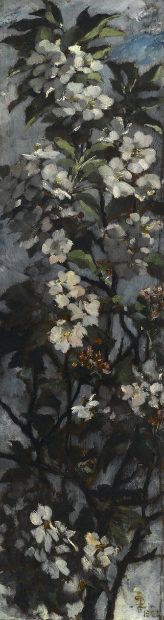 Kwiaty jabłoni autorstwa Elizabeth Boott Duveneck