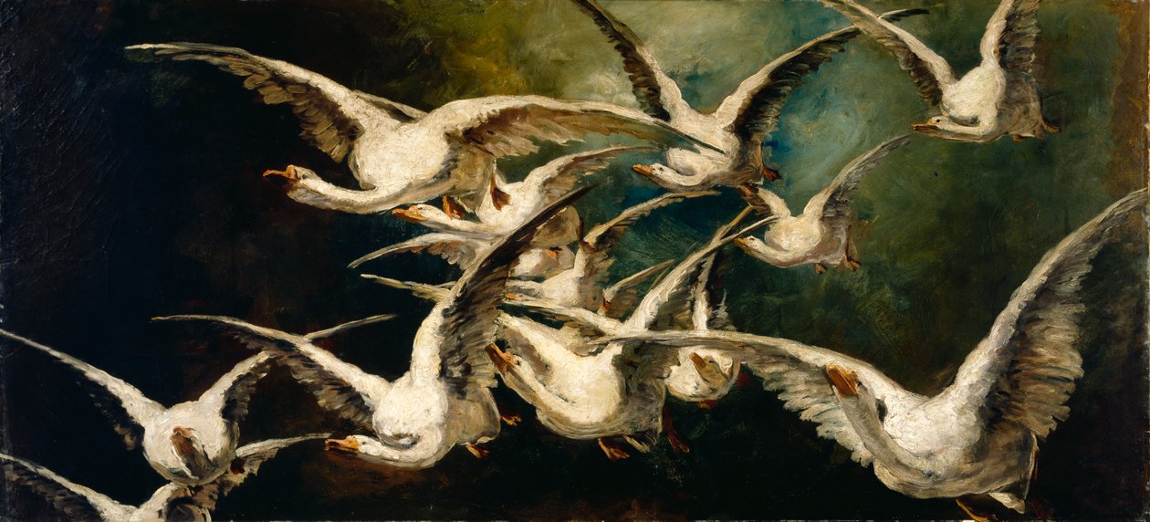 Stado gęsi, ok. godz. 1883. autorstwa Elizabeth Nourse