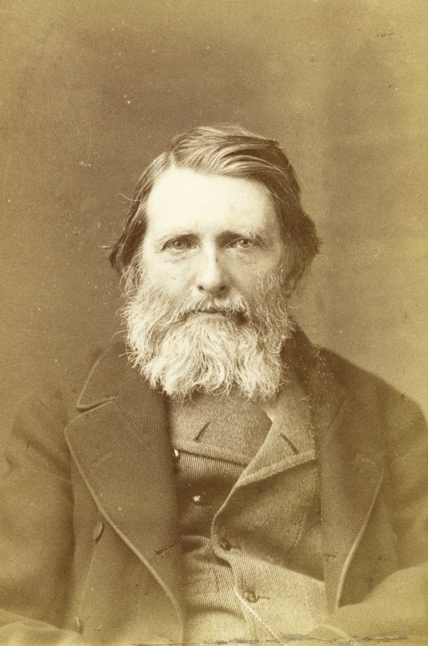 John Ruskin, 1882 (druk albumowy) autorstwa Elliott und Fry Studio