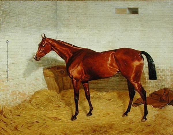 „Samotny”, zwycięzca Derby 1885 autorstwa Emil Adam