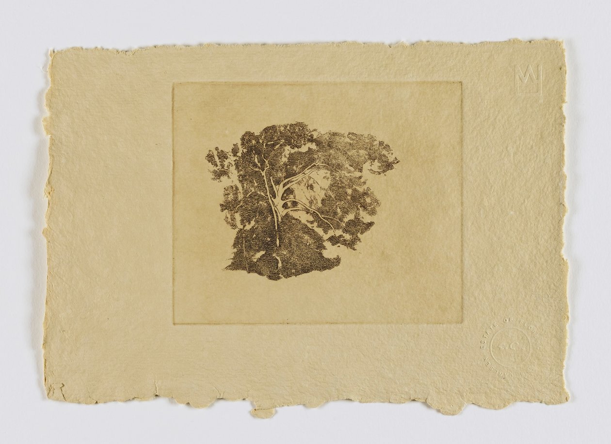 Studium drzewa (fm. portfolio) autorstwa Emil Carlsen