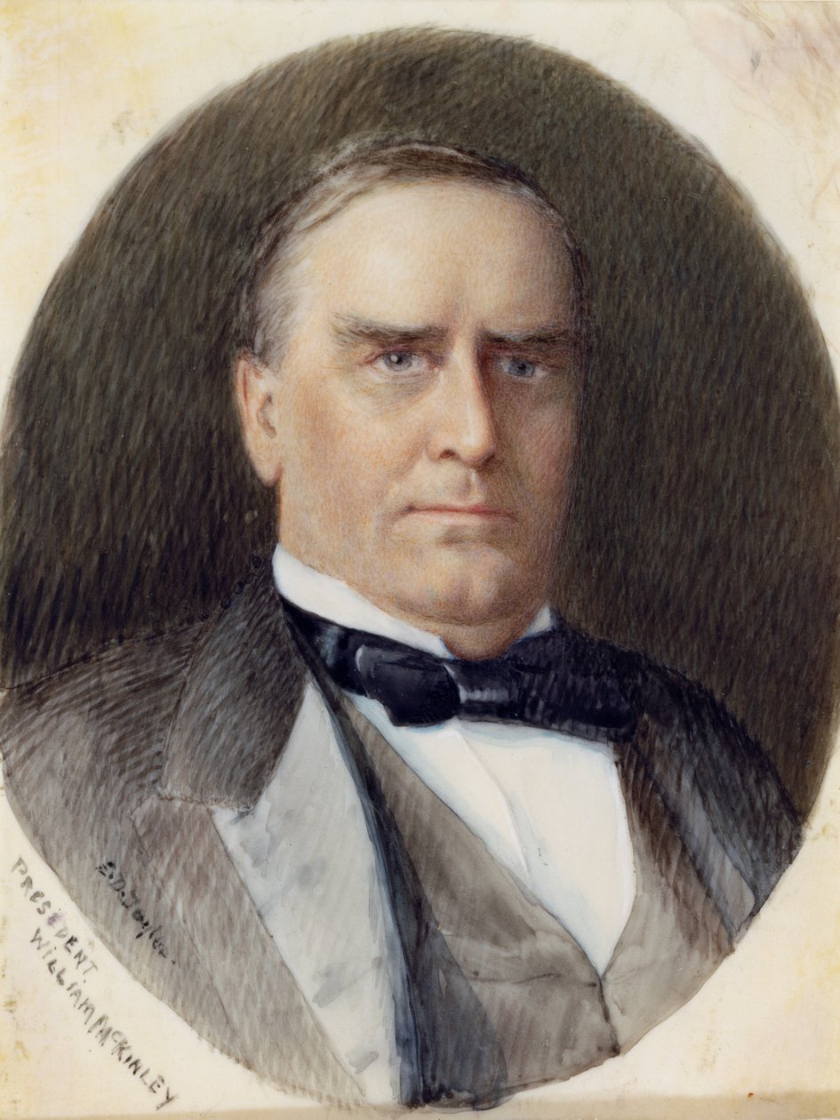 William McKinley autorstwa Emily Drayton Taylor