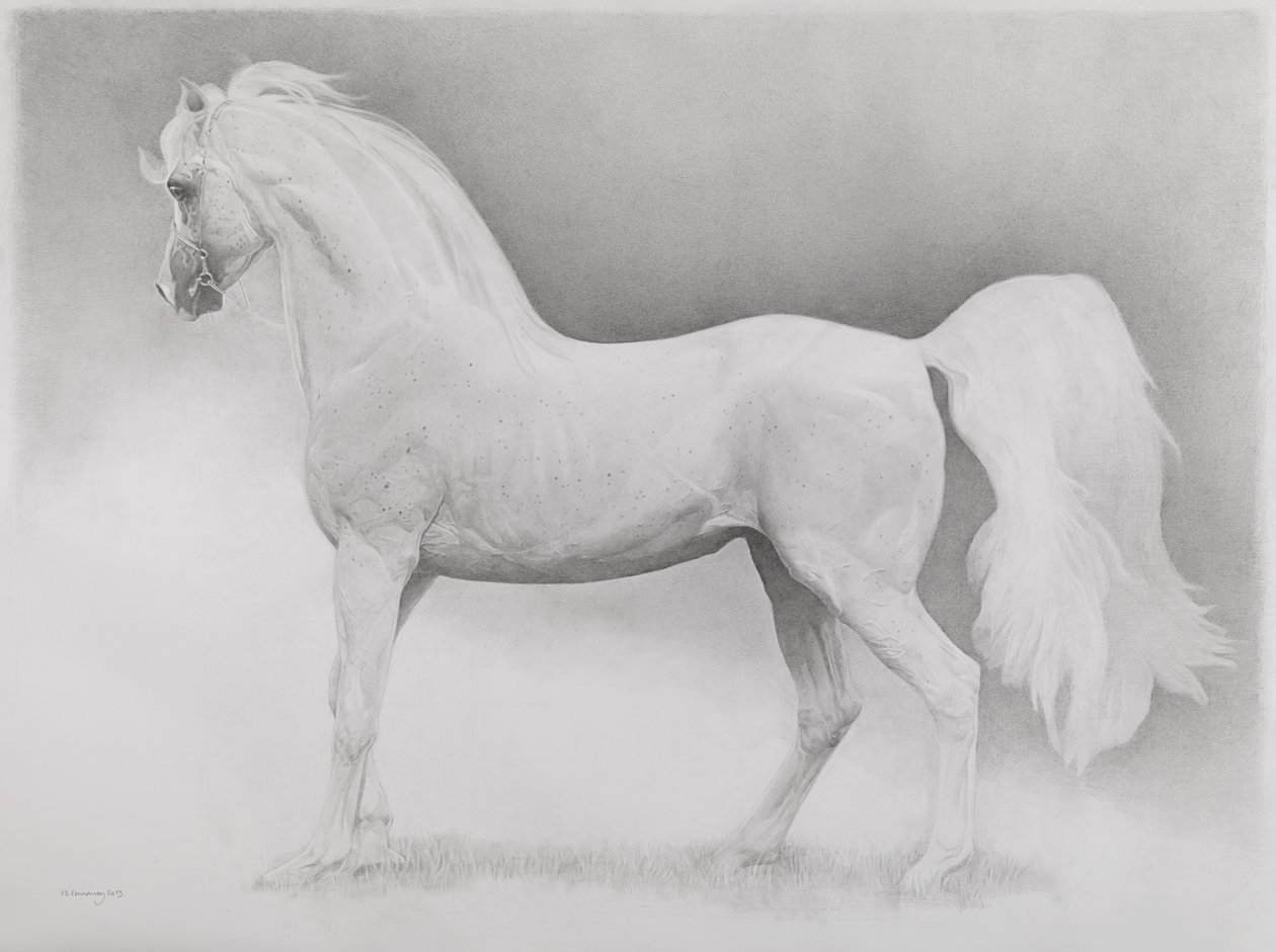 Ruchomy obraz, seria 2, 2013 (grafit na papierze) autorstwa Emma Kennaway