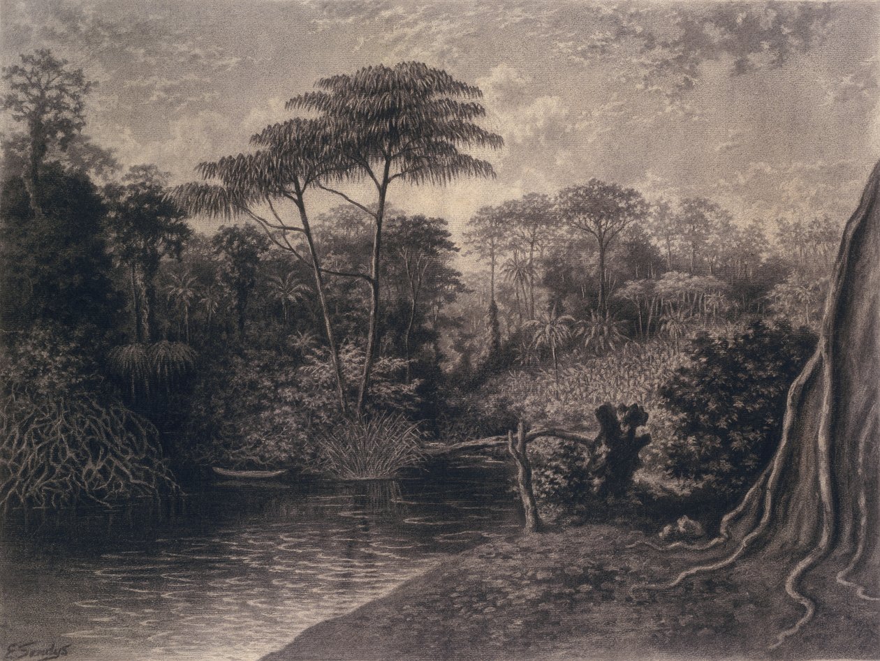 Widok na rzekę Kamerun, Ambes Bay, Afryka, 1877 (węgiel na papierze) autorstwa Emma Sandys