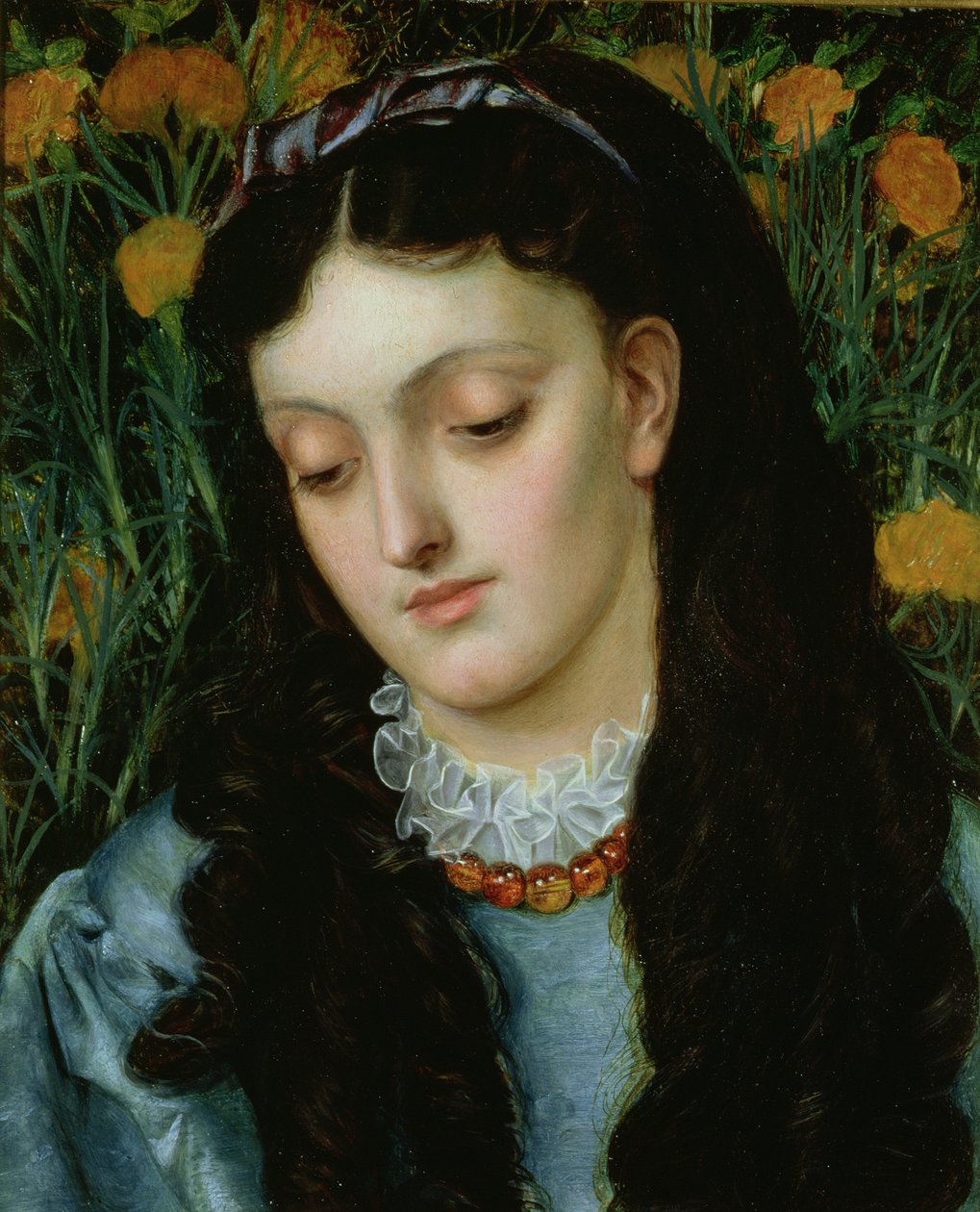 The Beautiful Wallflower autorstwa Emma Sandys