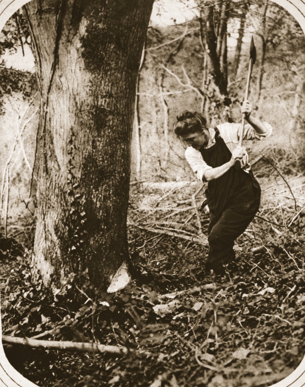 Zapracowana kobieta-pracownica w Weston-Super-Mare; wycinanie drzew w lesie Somerset, ilustracja z The Illustrated War News, wrzesień 1916 (zdjęcie w sepii) autorstwa English Photographer