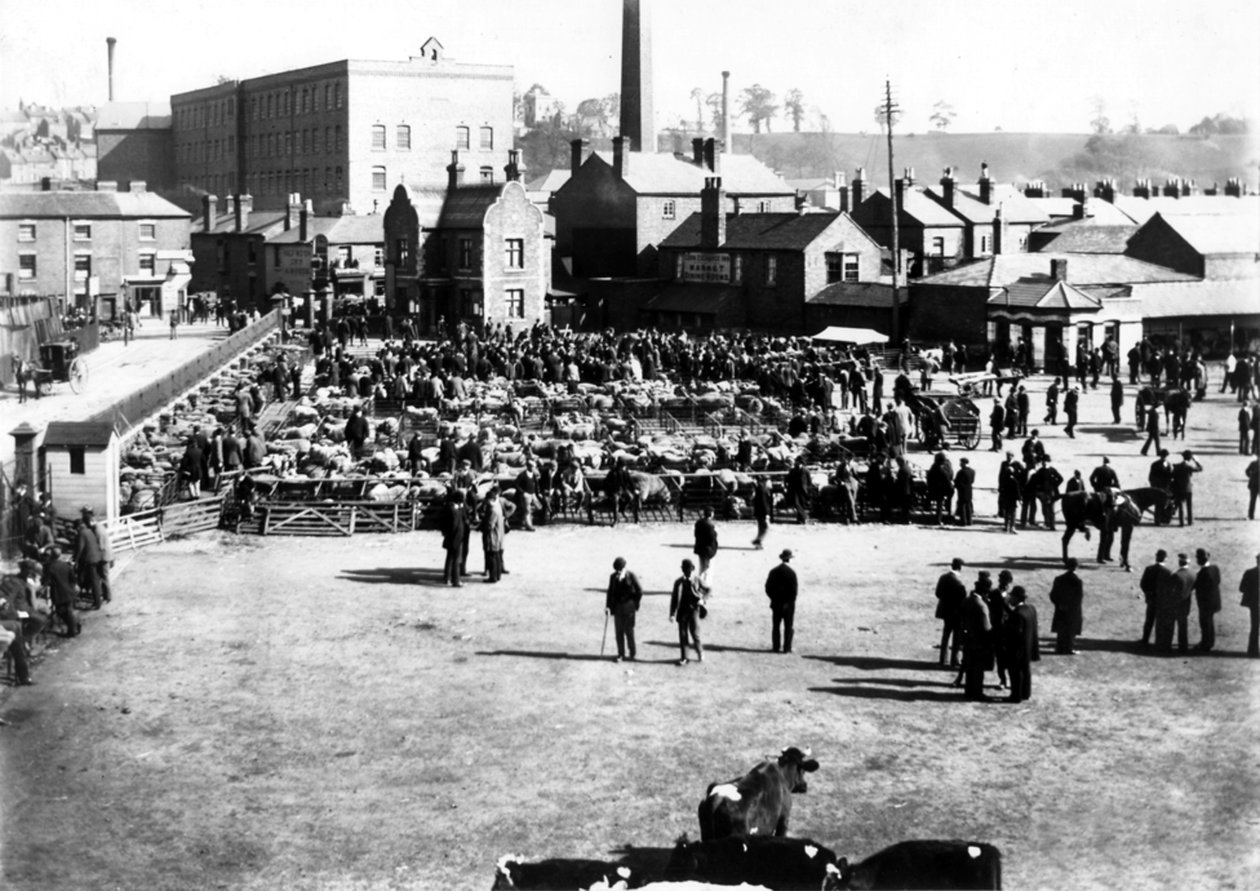 Bydło i rynek hurtowy, Kidderminster, 1900 autorstwa English Photographer