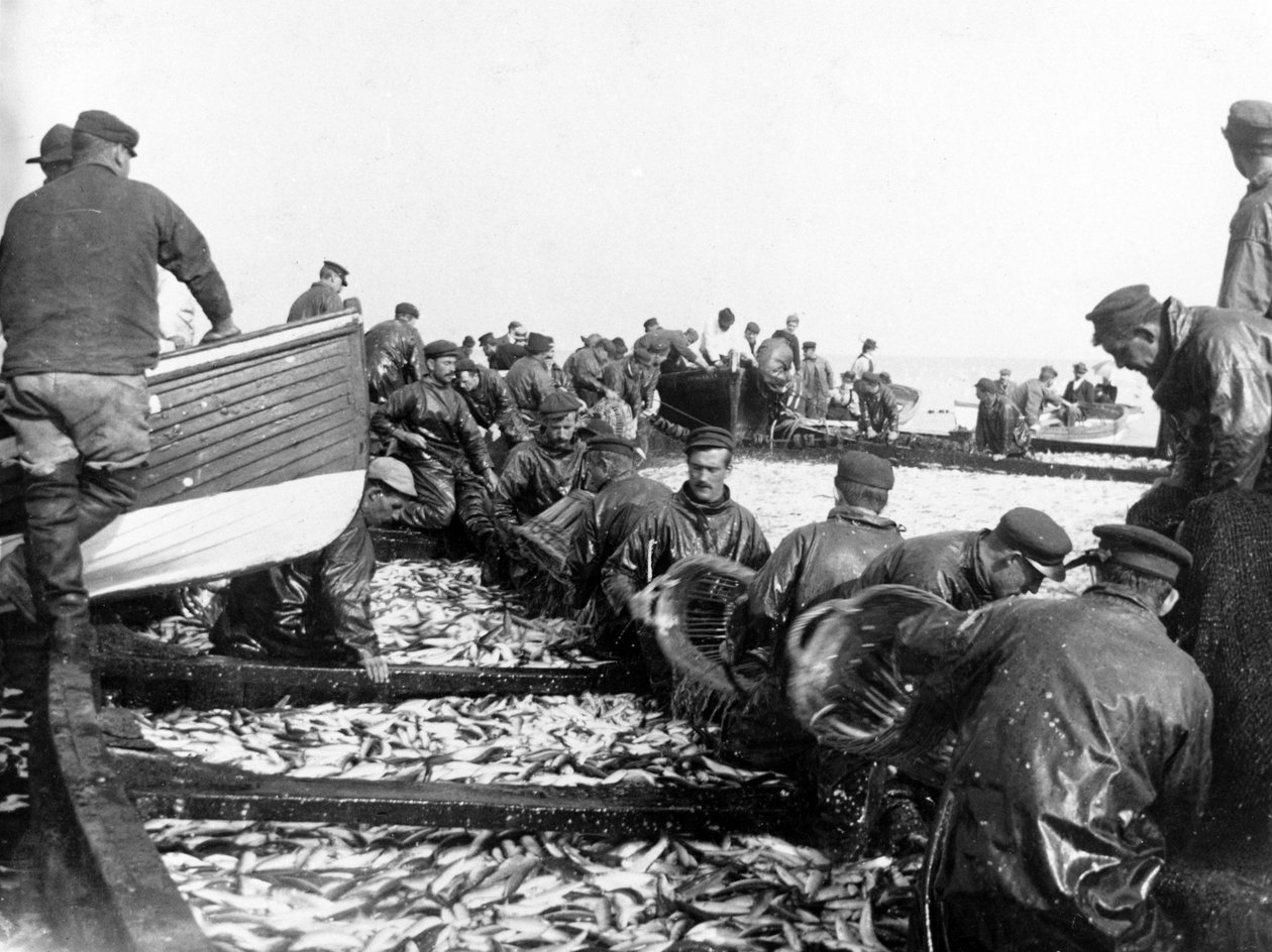 Rybak ze swoim połowem, ok. 1890 r. autorstwa English Photographer