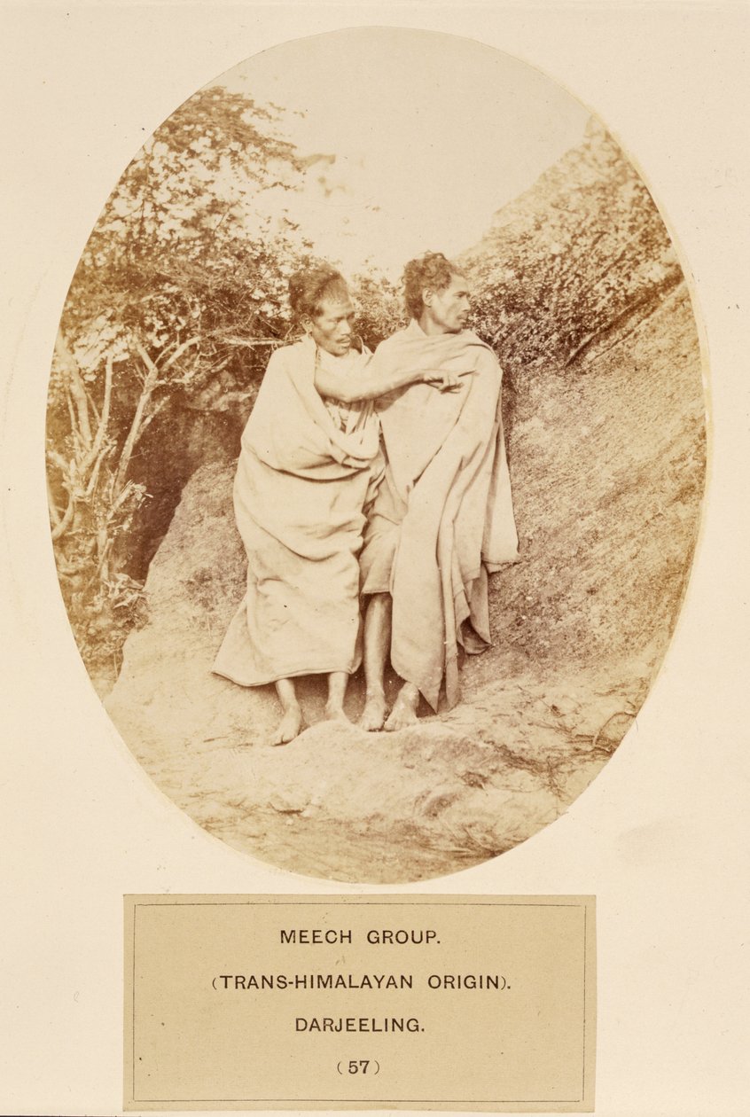 Meech Group (pochodzenie transhimalajskie), Darjeeling, z The People of India, J. Forbes Watson, opublikowane 1868 (druk albumowy) autorstwa English Photographer