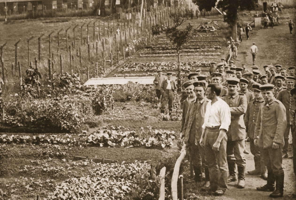 The Vegetable Garden, Eastcote, ilustracja z German Prisoners in Great Britain (fotograwiura) autorstwa English Photographer