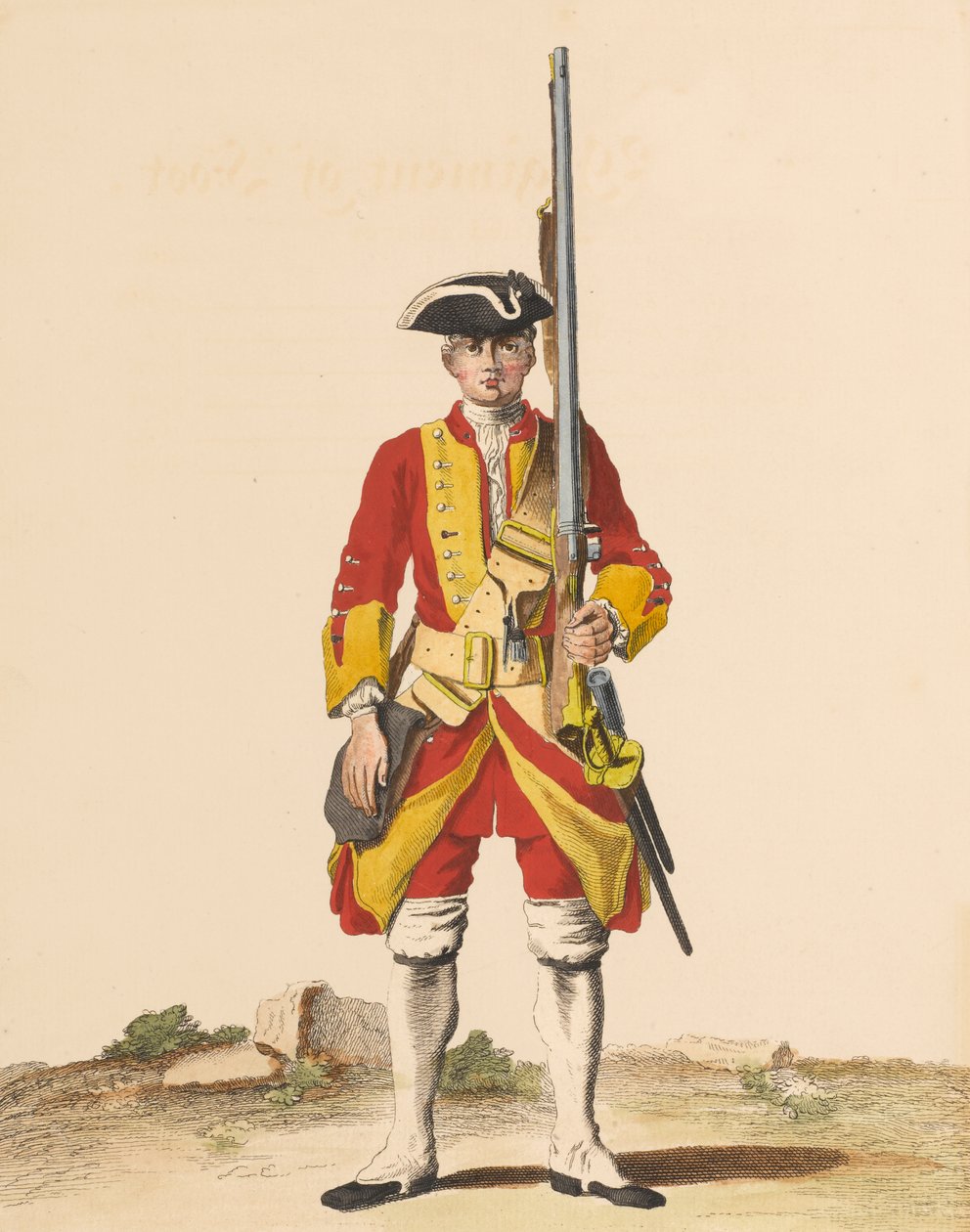 29 Pułk Pieszy, 1742 ok autorstwa English School