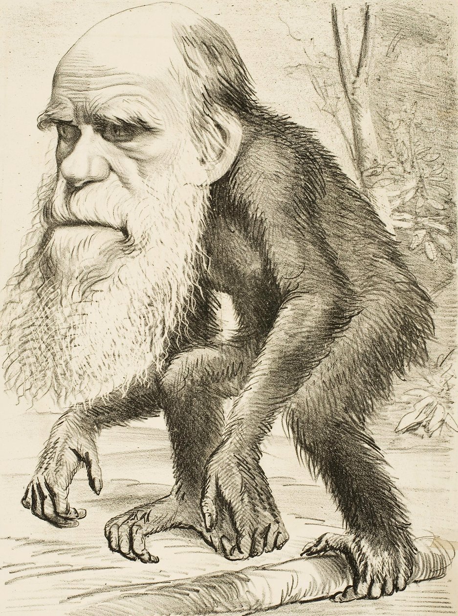 Karykatura Karola Darwina autorstwa English School