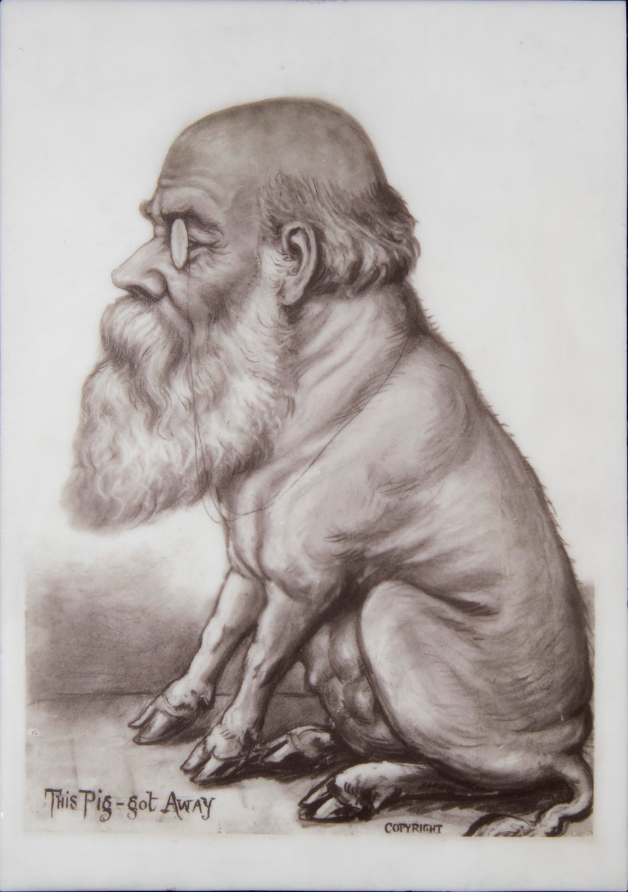 Tabliczka z Karolem Darwinem, ok. 1870 r. (ceramika) autorstwa English School