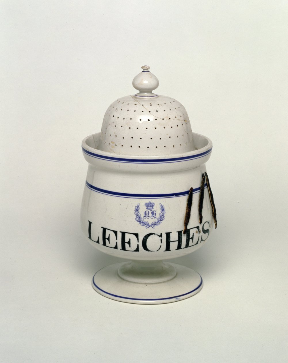 Słoik na pijawkę (ceramiczny) autorstwa English School