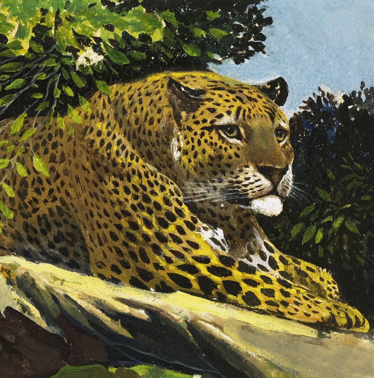 Leopard autorstwa English School