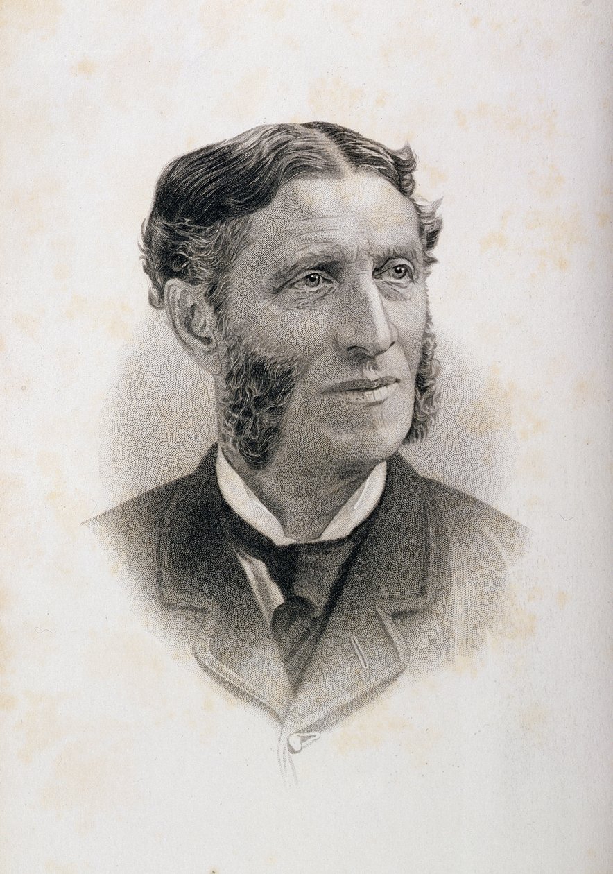 Portret Mateusza Arnolda (1822-88), autorstwa English School
