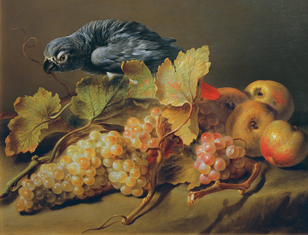 Martwa natura z papugą i winogronami autorstwa Erasmus von Engert