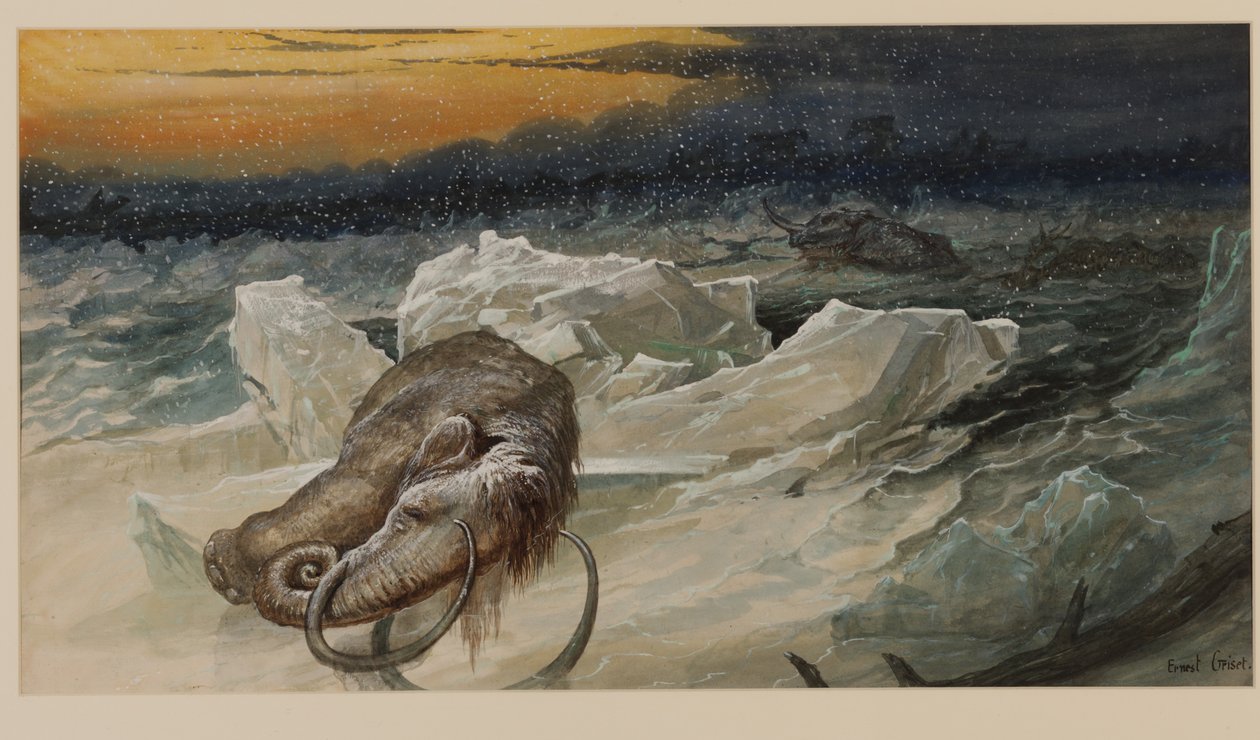Włochaty mamut autorstwa Ernest Henry Griset