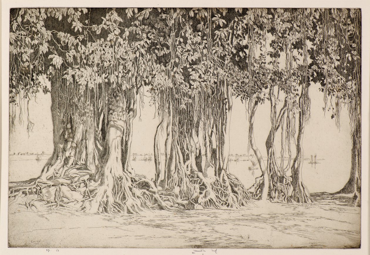 Drzewo Banyan autorstwa Ernest Stephen Lumsden