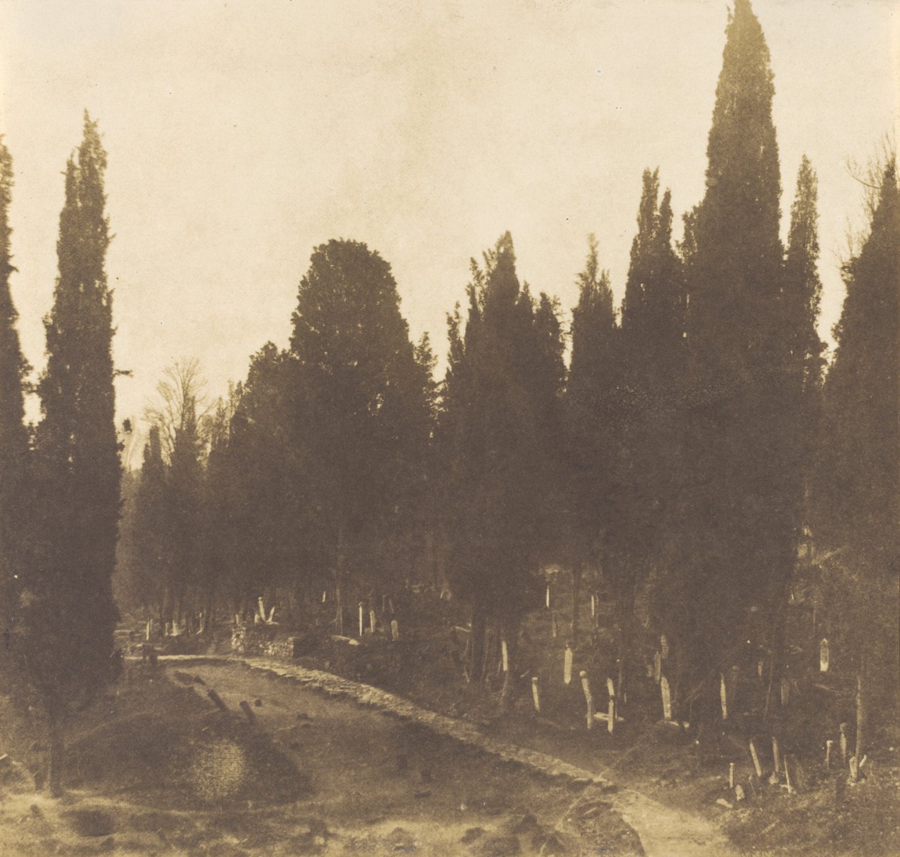 Turcja: Cmentarz w Scutari, 1852 (zdjęcie) autorstwa Ernest de Caranza