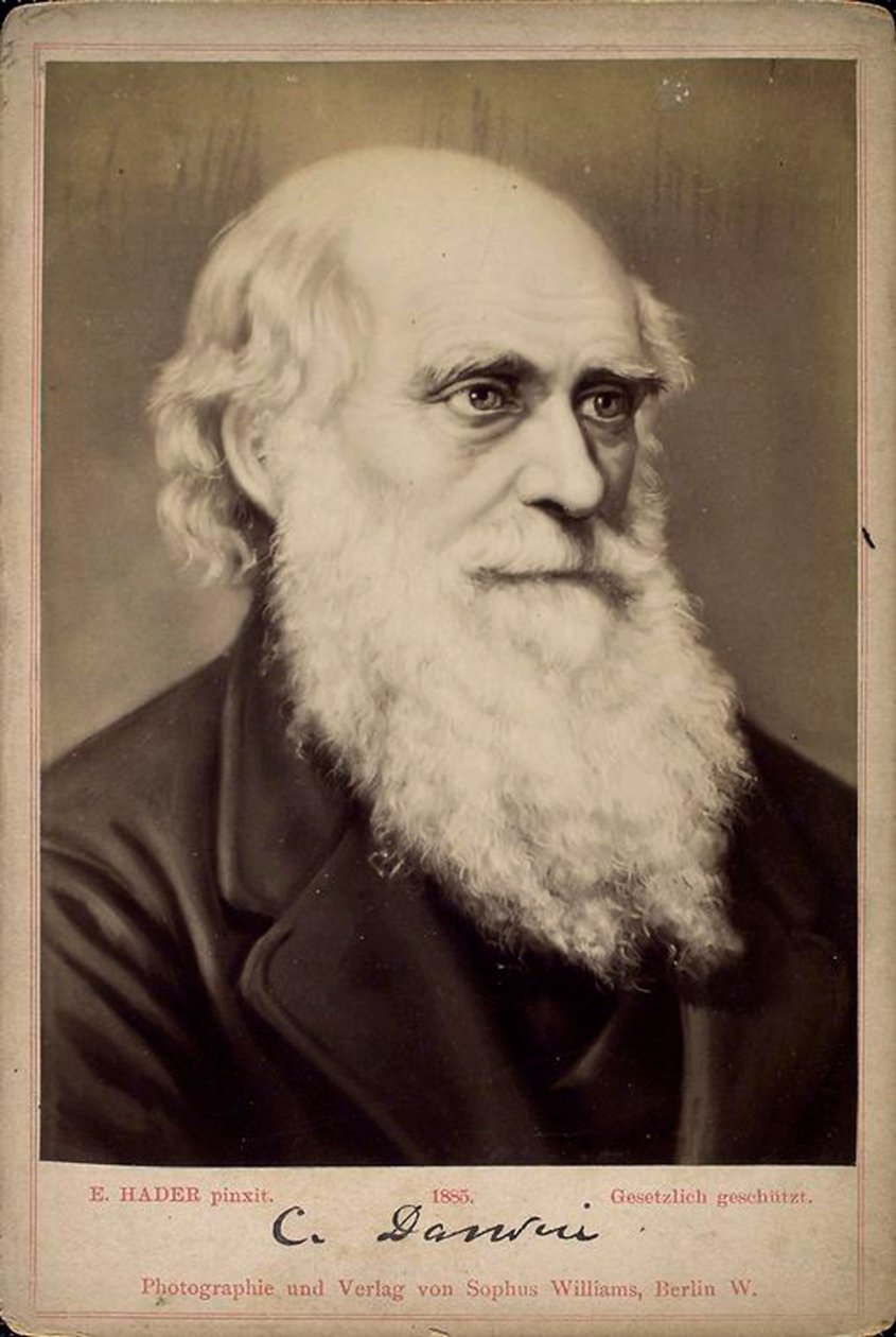 Karol Darwin, brytyjski przyrodnik, ok. 1860-c1870 autorstwa Ernst Hader