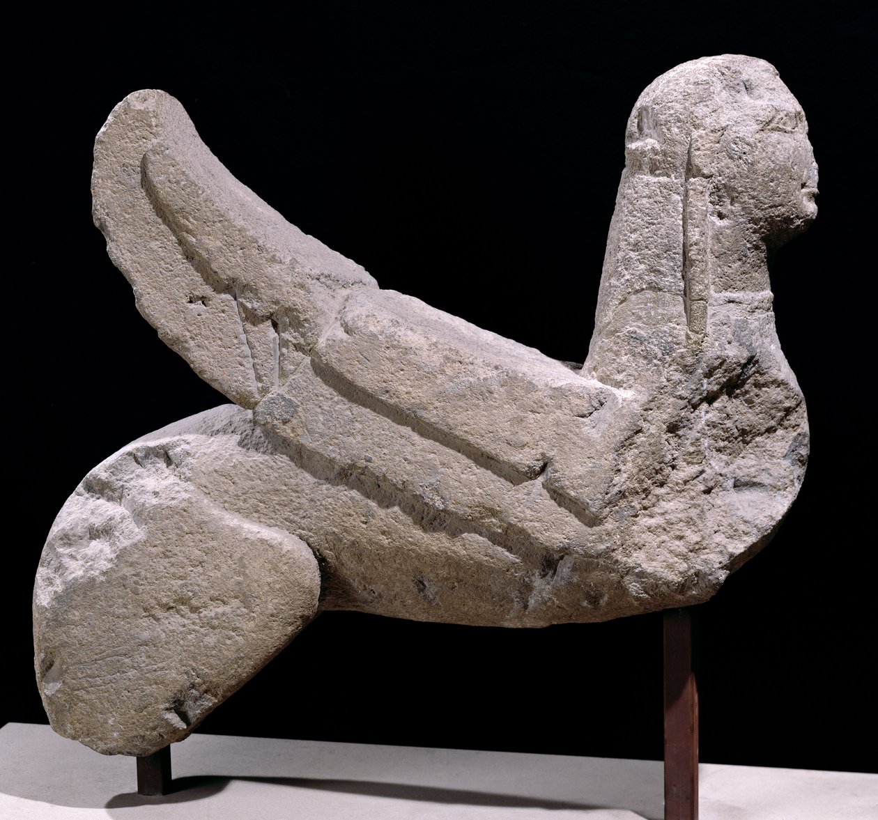 Sfinks, z Vulci autorstwa Etruscan