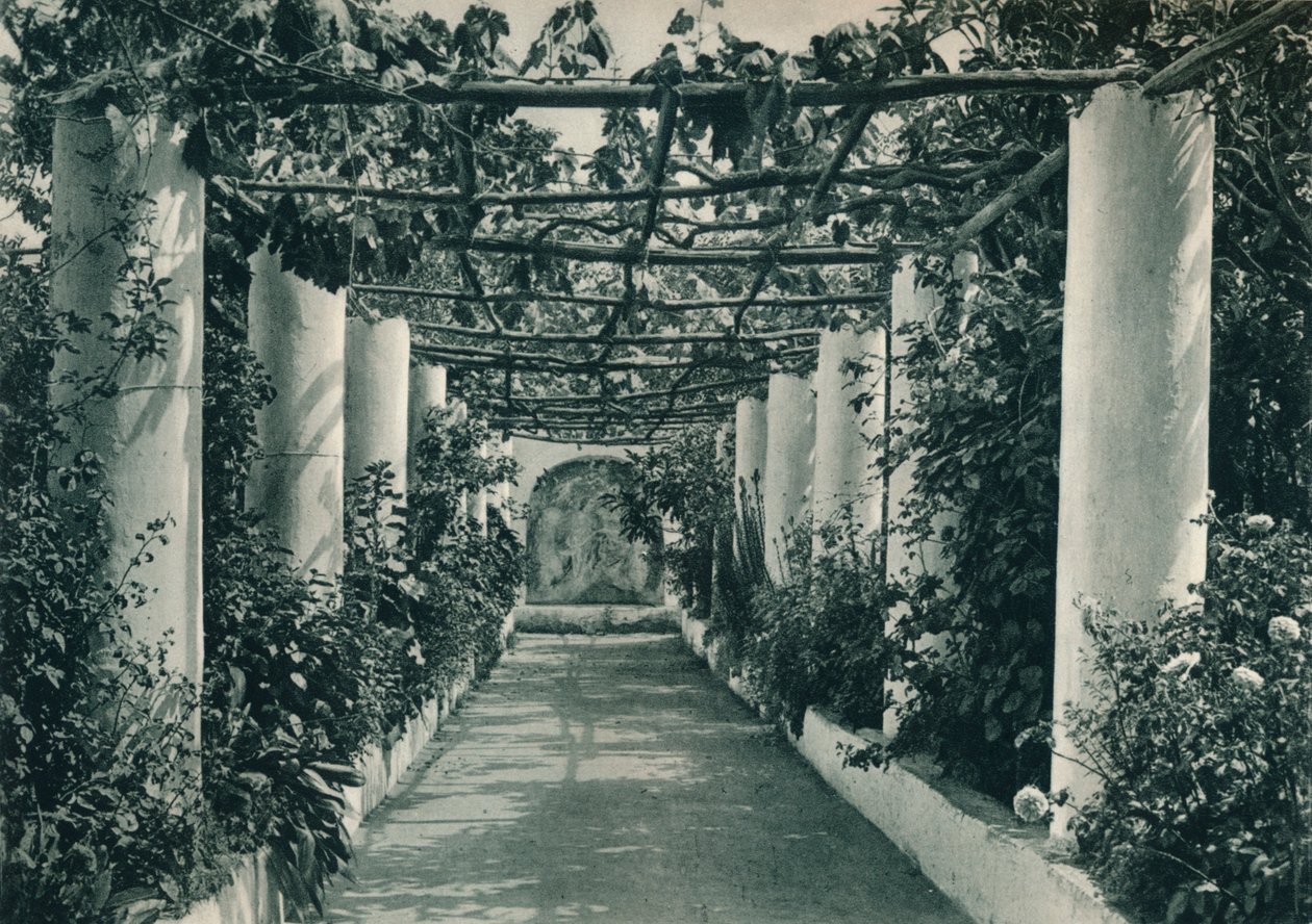 Pergola w winnicy, Capri, Włochy, 1927 autorstwa Eugen Poppel