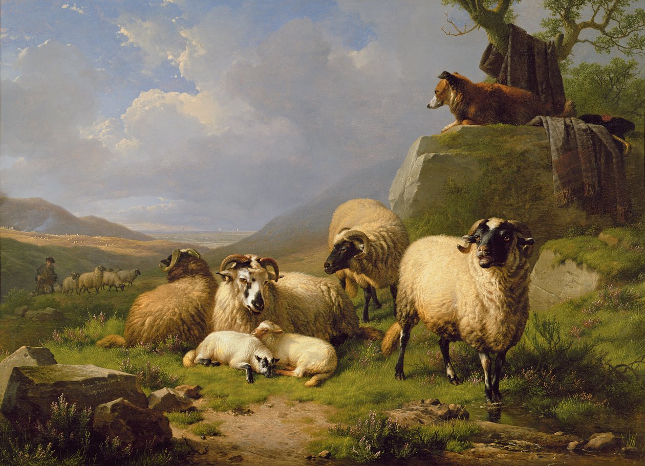 Owce w krajobrazie, 1863 autorstwa Eugene Joseph Verboeckhoven