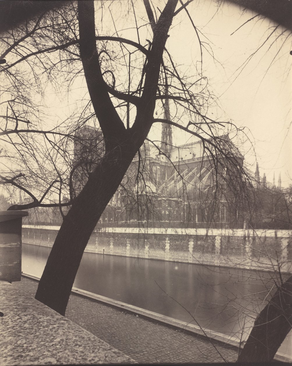 Notre-Dame, 1922 (zdjęcie) autorstwa Eugène Atget