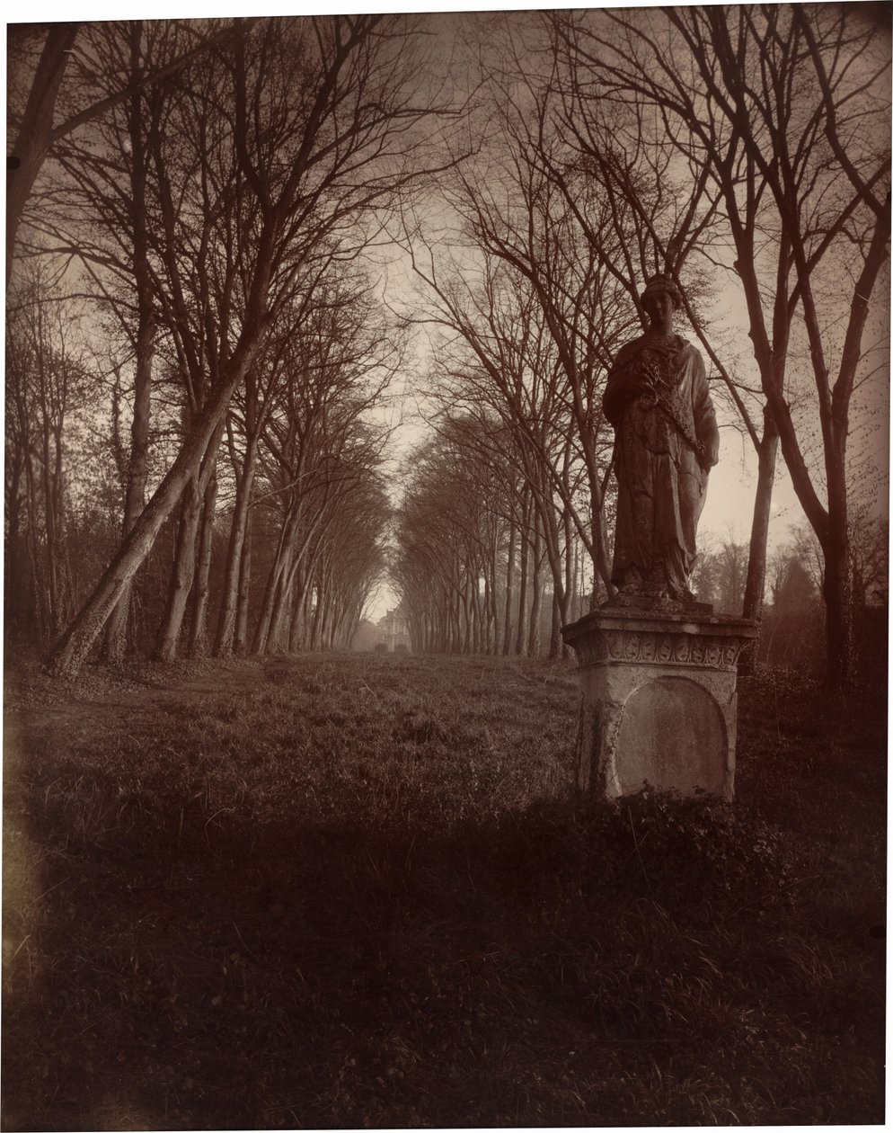 Parc de Sceaux, 1925 (zdjęcie) autorstwa Eugène Atget