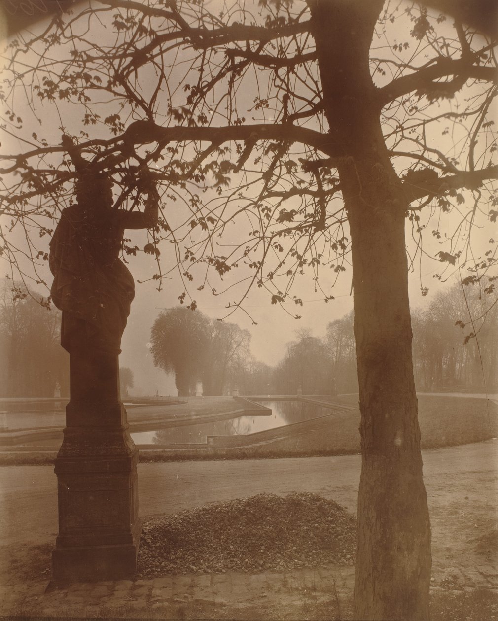 Saint-Cloud, 1926 (zdjęcie) autorstwa Eugène Atget