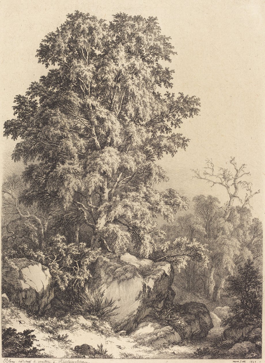 Bukowy Gaj, 1840. autorstwa Eugene Bléry