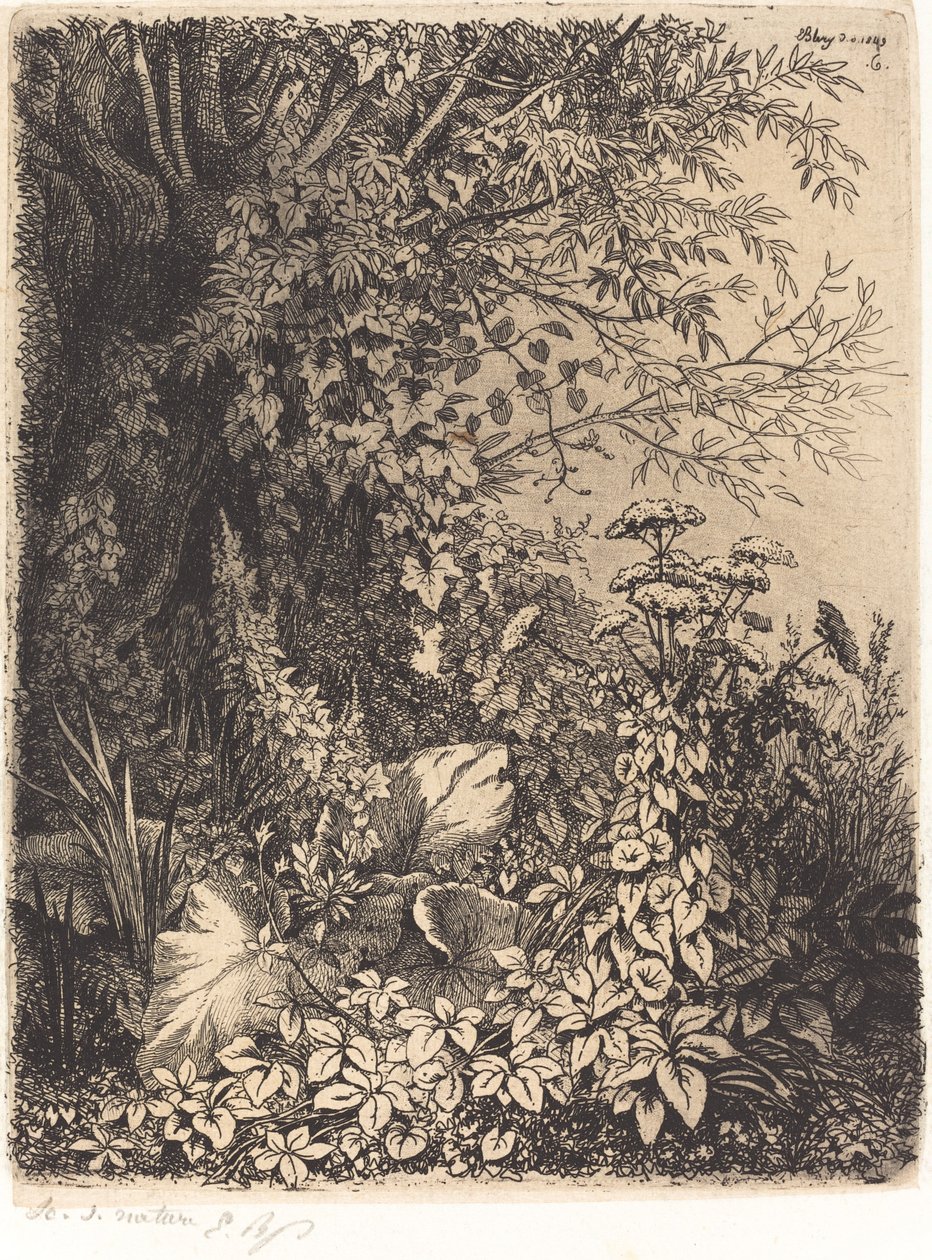 La bardane au saule (łopian z wierzbą) autorstwa Eugene Bléry