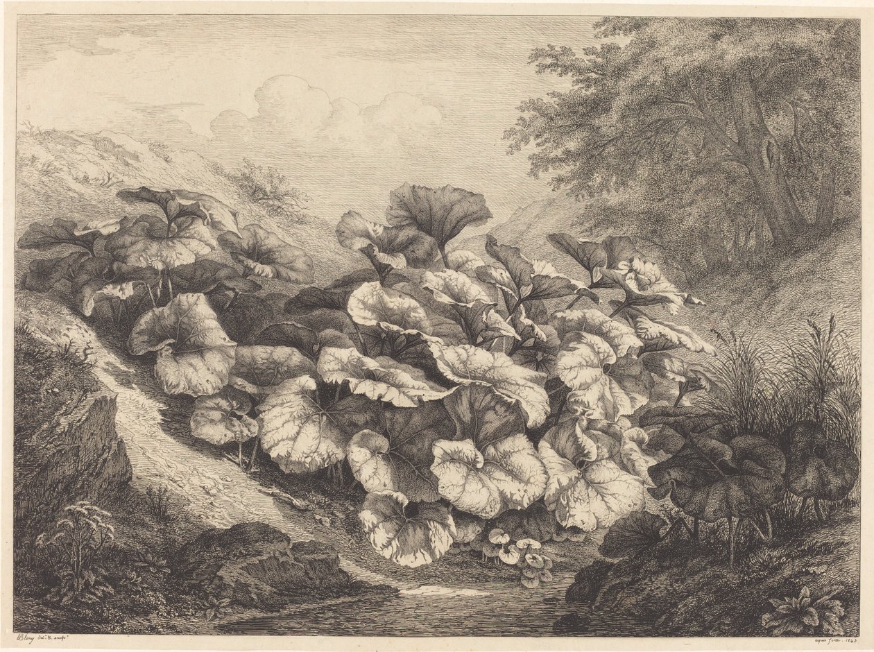 Duża Podbiał, 1843. autorstwa Eugene Bléry