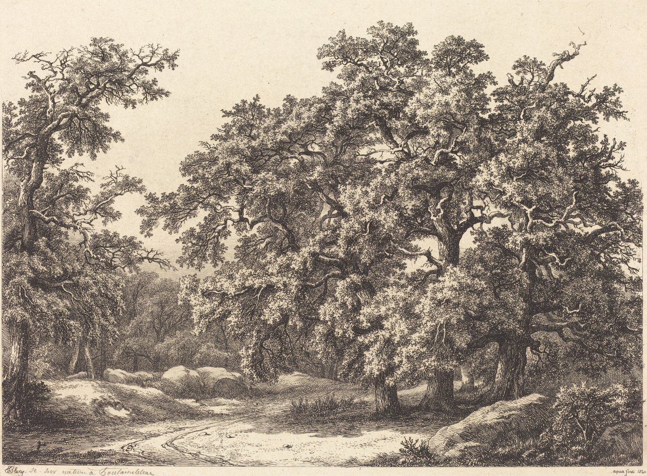 Dęby autorstwa Eugene Bléry