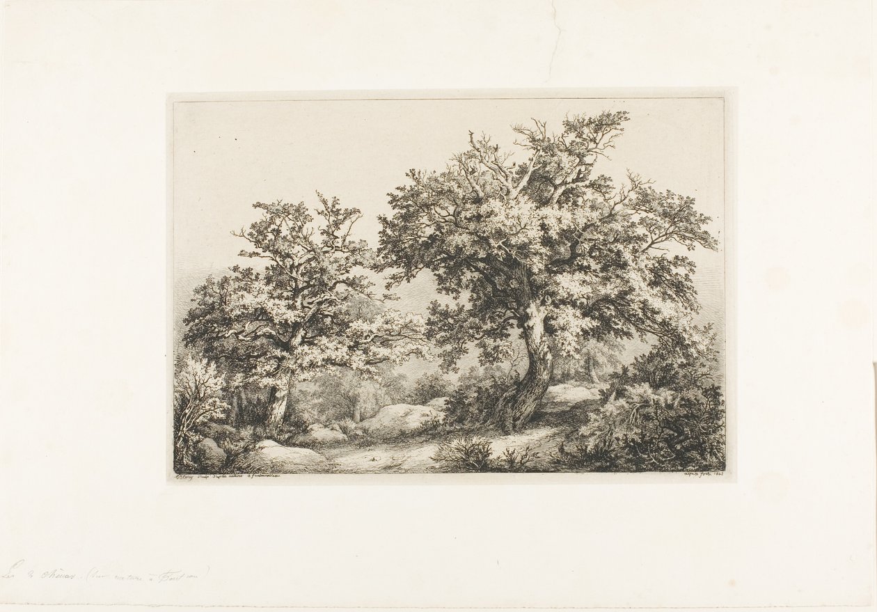 Dwa dęby, Fontainebleau autorstwa Eugene Bléry