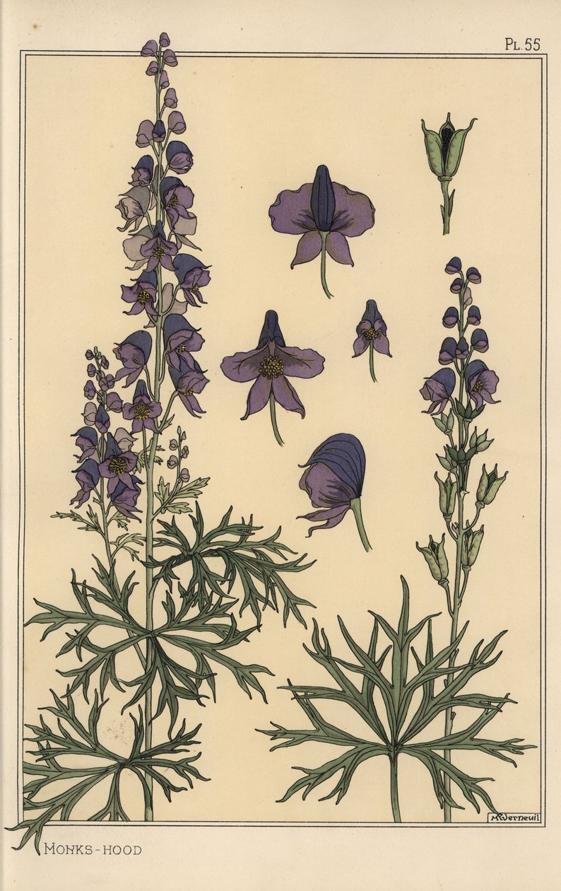 Studium botaniczne mnichów autorstwa Eugene Grasset
