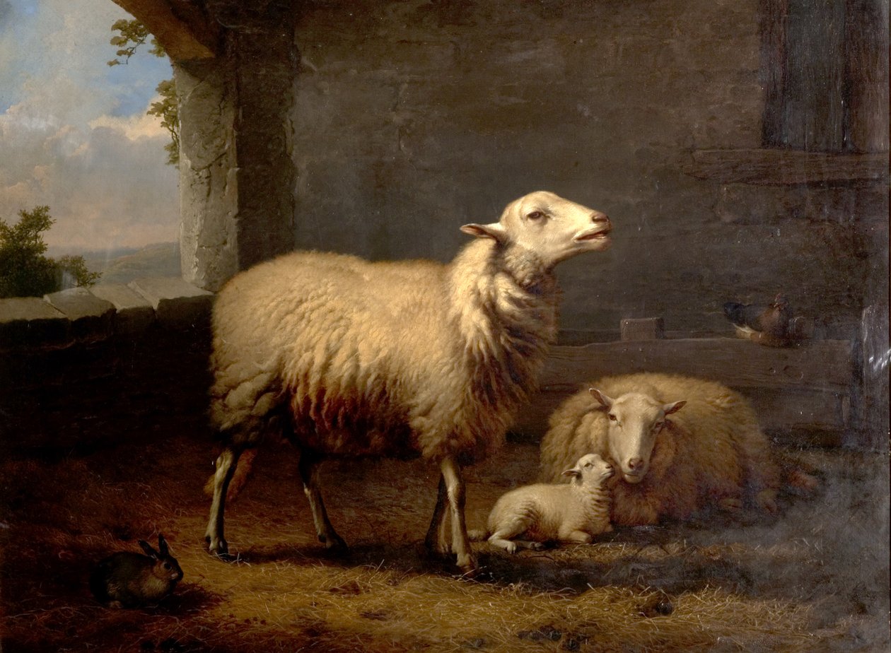Owca, 1876 autorstwa Eugene Joseph Verboeckhoven