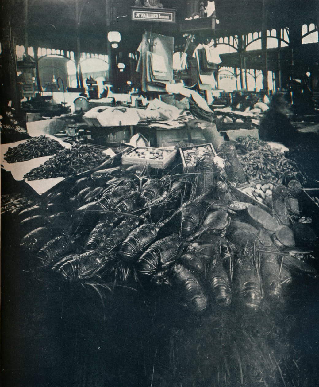 Targ Rybny, 1877-1927, 1929 autorstwa Eugène Atget