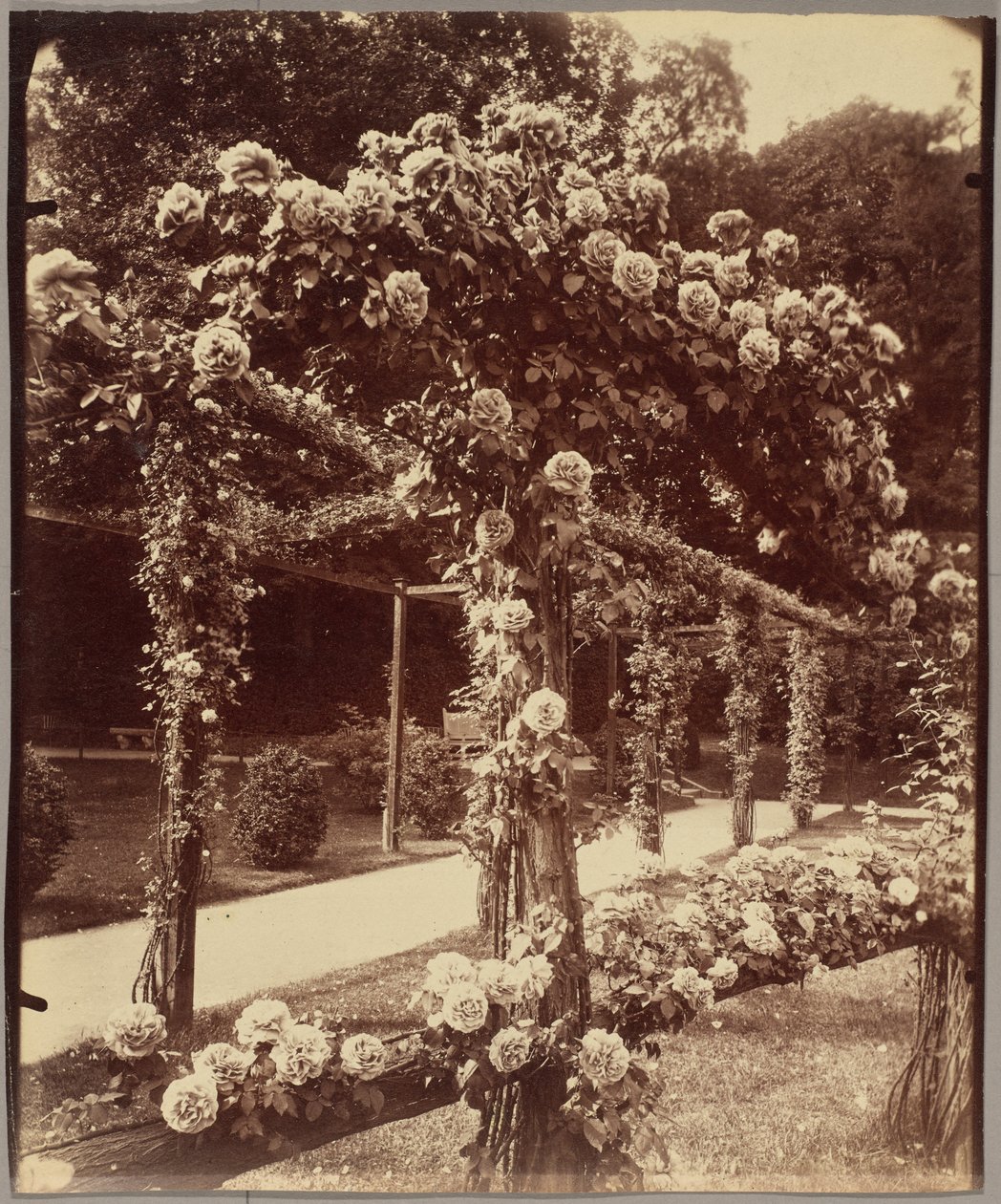 [Jardin de Bagatelle] autorstwa Eugène Atget